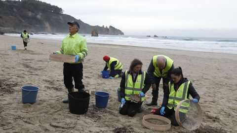 Operarios de TRAGSA recogen pellets de plstico, en la playa de Aguilar, a 9 de enero de 2024, en Muros de Naln, Asturias (Espaa). El Principado de Asturias ha activado el nivel dos de emergencia por el vertido de pellets de plstico en las playas de la regin.