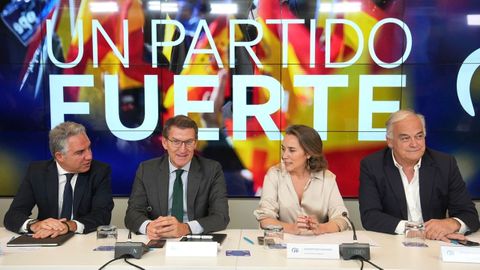 El lder del PP, Alberto Nez Feijoo, presidi la reunin del comit ejecutivo nacional del PP en Madrid. 