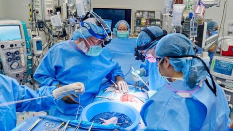 Operacin del primer trasplante combinado de bomba cardaca y rin de cerdo a una mujer en Nueva York