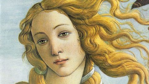 El protagonismo del cabello es extraordinario en la obra El nacimiento de Venus (1485), de Sandro Boticelli, para la cual escogi como modelo a la joven Simonetta Cattaneo. El cuadro se conserva en la Galera de los Uffizi de Florencia