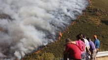 Detencin de un incendiario en Vilardevs