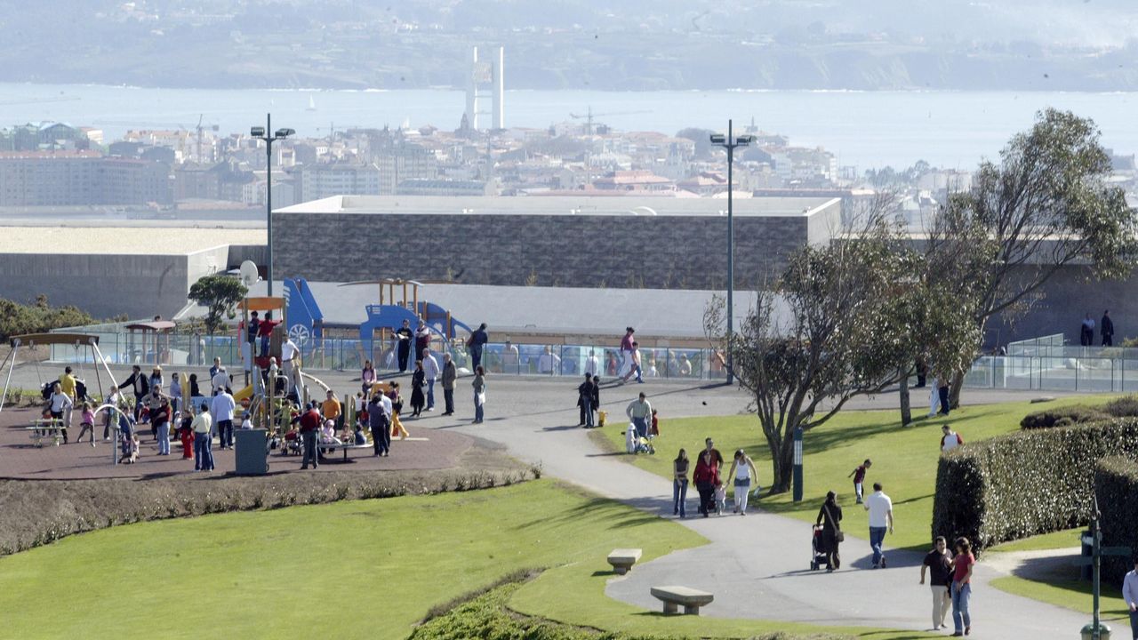 Hombres pjaro ponen nidos a los vencejos en la Muralla de Lugo