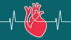 La cardio-oncolog�a une la labor de las dos especialidades para abordar la toxicidad de los medicamentos antitumorales en la salud cardiovascular. 