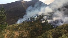 Incendio forestal en Parres