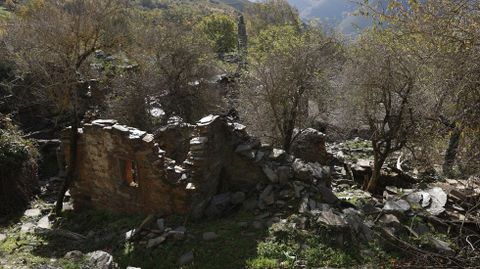 Vivienda en ruinas en Santoalla, la aldea de Petín en la que Margo Pool vive sola