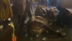 Dos caballos de la carroza de Baltasar cae al suelo, en Oviedo, por culpa de la lluvia. Imagen compartida por el partido PACMA en sus redes sociales