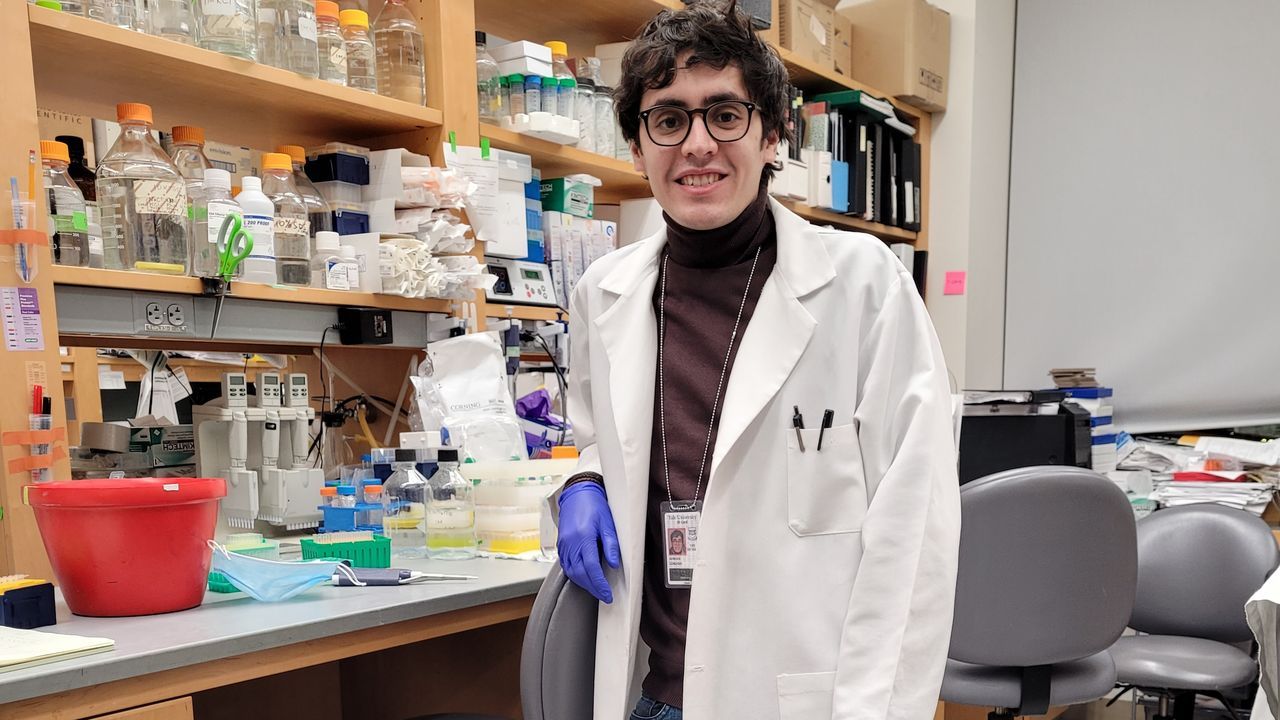 Pescados y mariscos para�Nochebuena.Cruz e arco da vella. 4/11/2021