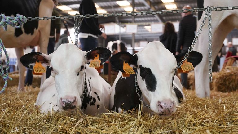 El campo gallego recibe cerca de siete millones de euros para innovación