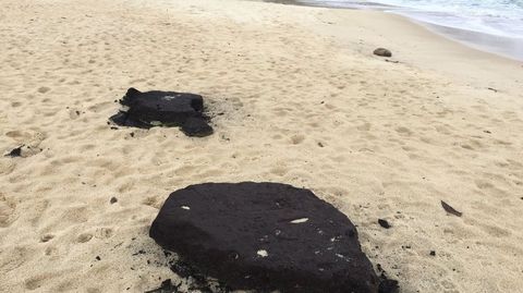 Bloques de suelo fósil prehistórico que el mar arrancó del fondo de la ría y empujó a la playa de Mourisca, en Bueu, en el 2018