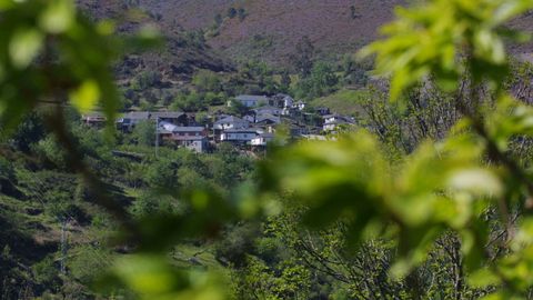 Vista de la aldea de Figueiredo, donde crecen olivos de variedades autóctonas
