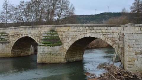 Puente sobre el ro Carrin en el municipio de Husillos