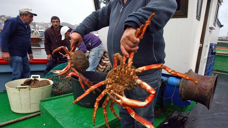 El sector confirma los peores augurios: hay menos centolla y está más cara