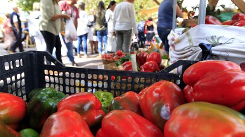 Las verduras marianas (en la foto, un mercado) son muy apreciadas por consumidores locales y por visitantes.