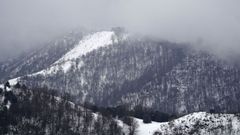 Un bosque entre la nieve y la niebla en Asturias