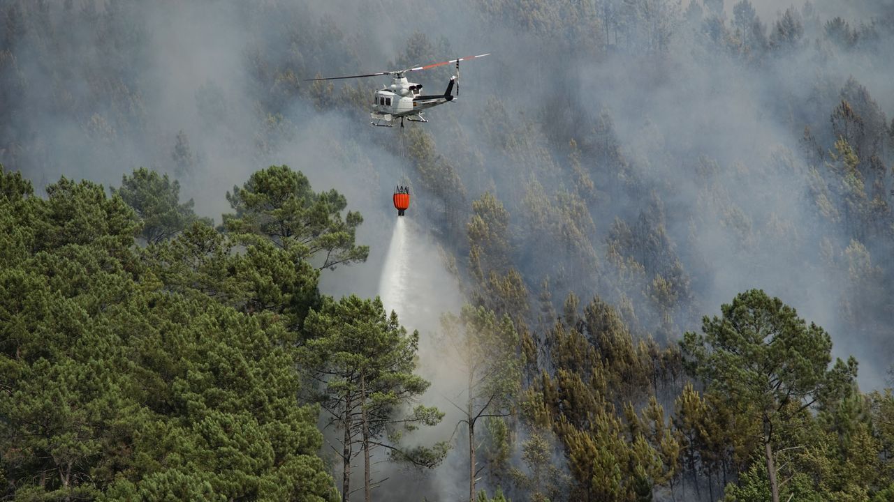 Extinguido un incendio forestal que entró en Cualedro desde Portugal