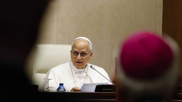 León XIV pide a los obispos que respondan ante la «plaga» de