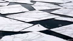 Un pingino de Adelia sobre una gran capa de hielo en el mar de Ross en la Antrtida