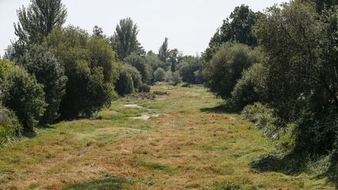Cauce del río Limia a su paso por Xinzo, sin agua a causa de la sequía.