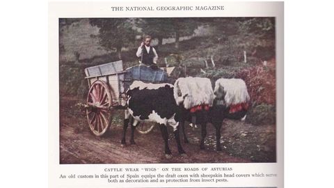Una de las pginas de la revista de National Geographic de enero de 1931, con un reportaje de Asturias