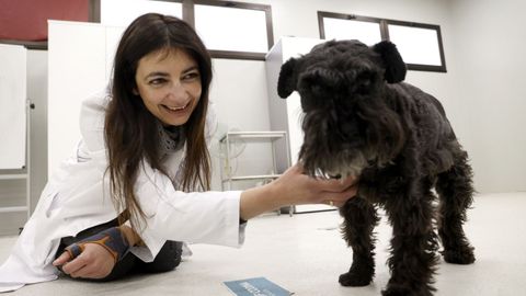 Ángela González es etóloga clínica en el hospital veterinario Rof Codina de Lugo