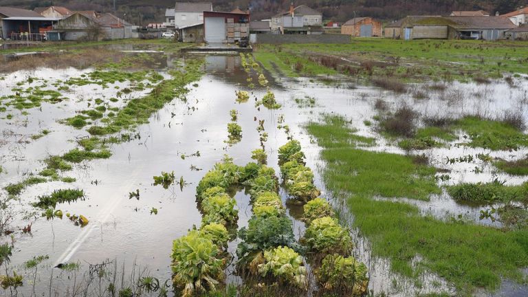Galicia, ante el espejo de sus suelos: cuando la tierra ya no puede más