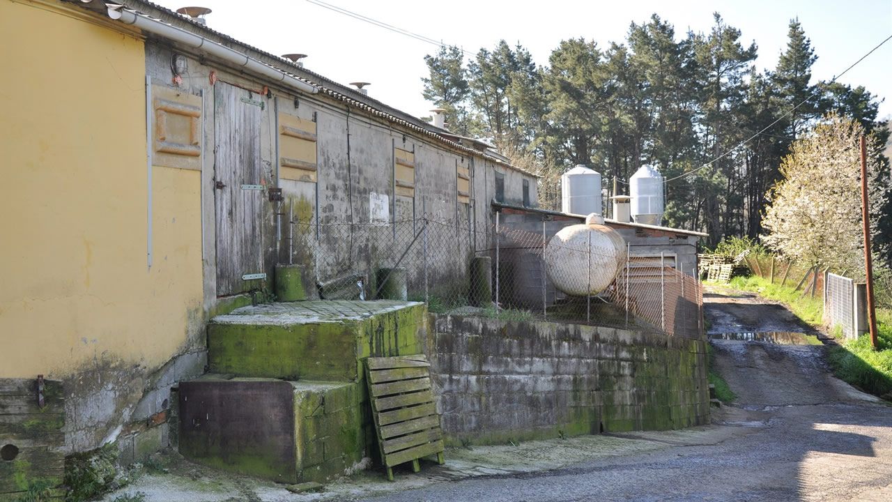 Las mejores im�genes de la celebraci�n liguera del Bar�a
