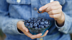 Los antioxidantes presentes en los ar�ndanos ayudan a reforzar las defensas.