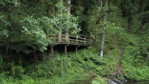 Algunos de los puentes y miradores de madera que cruzan el río se presentan inestables, además de 'invadidos' por la vegetación descontrolada.