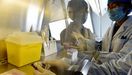 Un técnico chino analiza una de las muestras con la nueva cepa del virus en humanos.