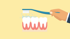 Lo ideal es lavarse los dientes despus de cada comida.