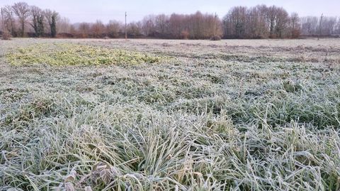 Los campos han amanecido totalmente helados en toda la provincia