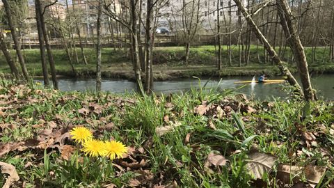 Paseo del r�o en Pola de Siero