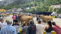 Medio Rural volver� a autorizar las ferias y concentraciones de ganado bovino a partir del 1 de noviembre