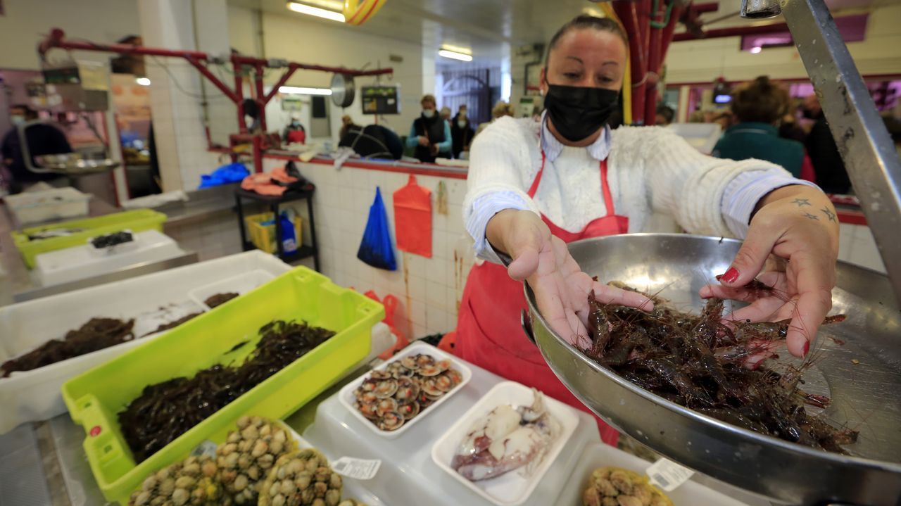 Joyas inmobiliarias con precios por encima del mercado.Arriba (de izquierda a derecha) Amanda Guiti�n (Inibic), Iria Gomez (Usc) y  Paula Carpintero (Inibic). Abajo: Lorena Boquete (Universidad de Cambridge)  Laura Muinelo (Hospital Cl�nico Santiago) y Aurora G�mez (CIB Margarita Salas)
