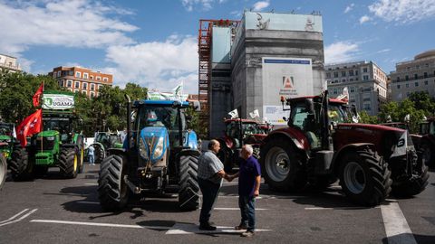 Los agricultores exigen en Madrid ayudas directas