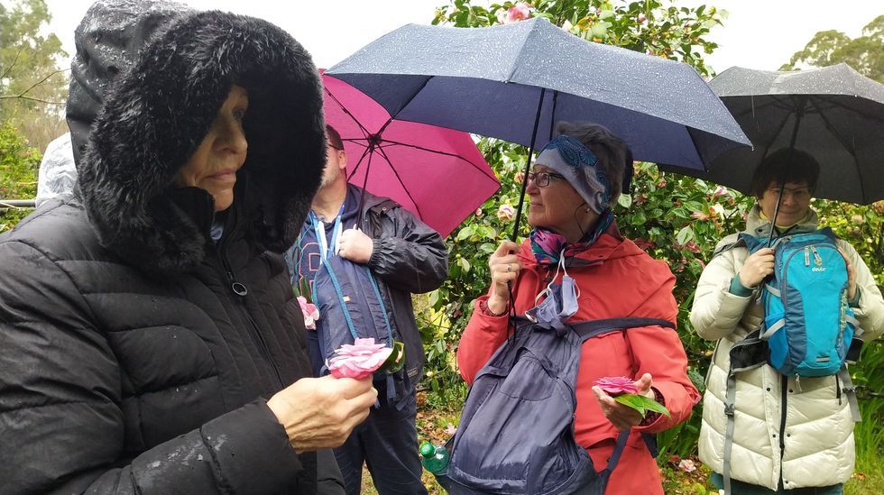 Visita a los jardines de camelias del pazo Quinteiro da Cruz por parte de un grupo de germanohablantes que organizaron la visita con la agencia Knulps Reisen.