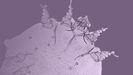 Imagen al microscopio de el ácaro que provoca la sarna. 