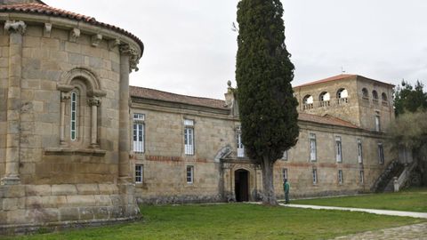 Un ciprés fronte á entrada do mosteiro de Ferreira de Pantón
