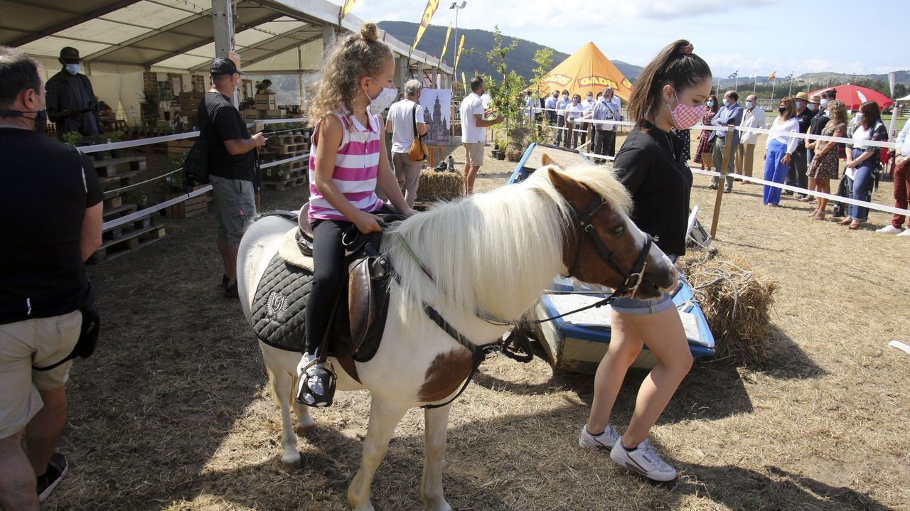 Pistoletazo de salida en las casetas de la Festa do Albario.La fiesta volver a celebrarse en el Campo de Arriba.