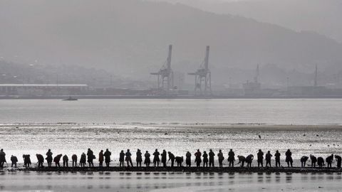 Mariscadoras en la ría de Pontevedra