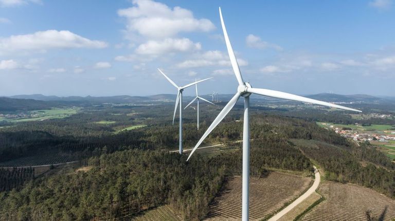 El TSXG suspende otro parque de Greenalia mientras 75 causas del sector «migran» a la nueva sección de eólicos
