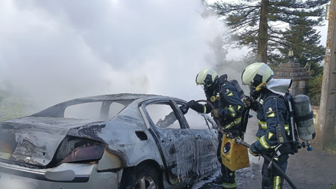 Incendio de un coche en el �rea recreativa de Monteagudo, Llanera.
