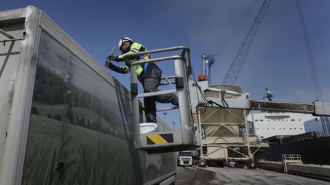 Los técnicos de Galis recogen muestras que serán trasladadas al laboratorio para analizar si los cereales contienen alguna sustancia nociva