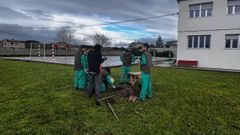 Actividades de educacin ambiental en el centro Infanta Elena de Monforte