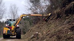 Trabajos de la ltima campaa de limpieza y prevencin en el distrito forestal Lugo-Sarria.