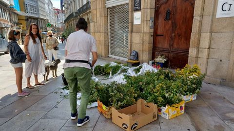 Venta de flores y herbas de San Xon en la calle Real de A Corua
