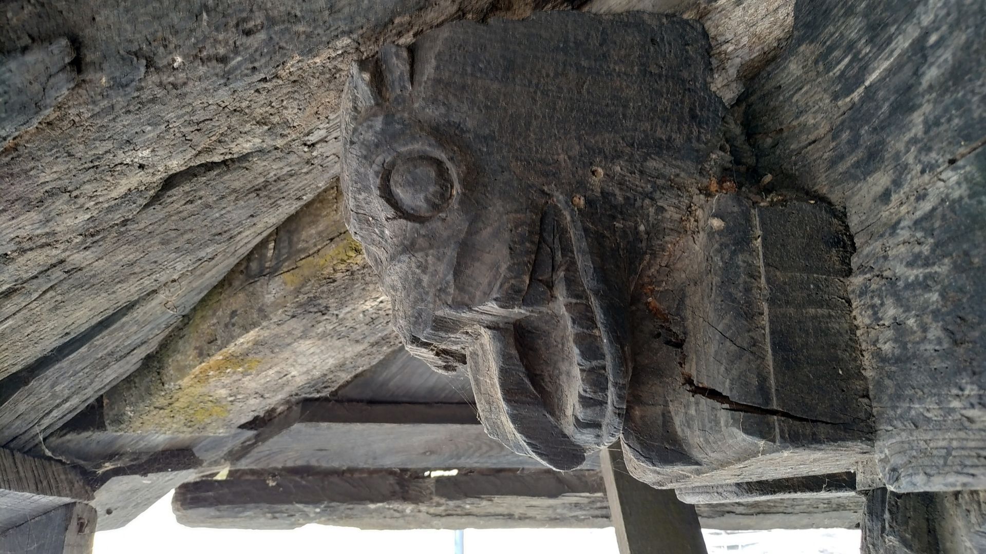 Cabeza de dragón tallada en un liño