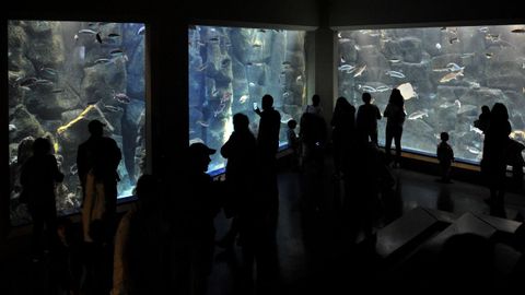 El Aquarium de A Coruña