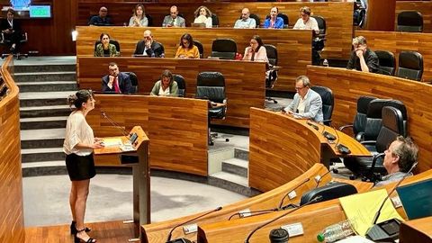 Ley Lgtbi.Debate Parlamanto Asturiano enmienda de Vox al proyecto de lay LGTBI