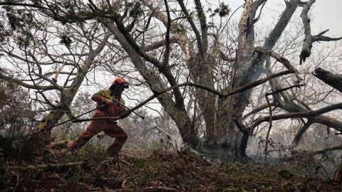 Bomberos de Asturias trabajan para extinguir las llamas en un incendio forestal